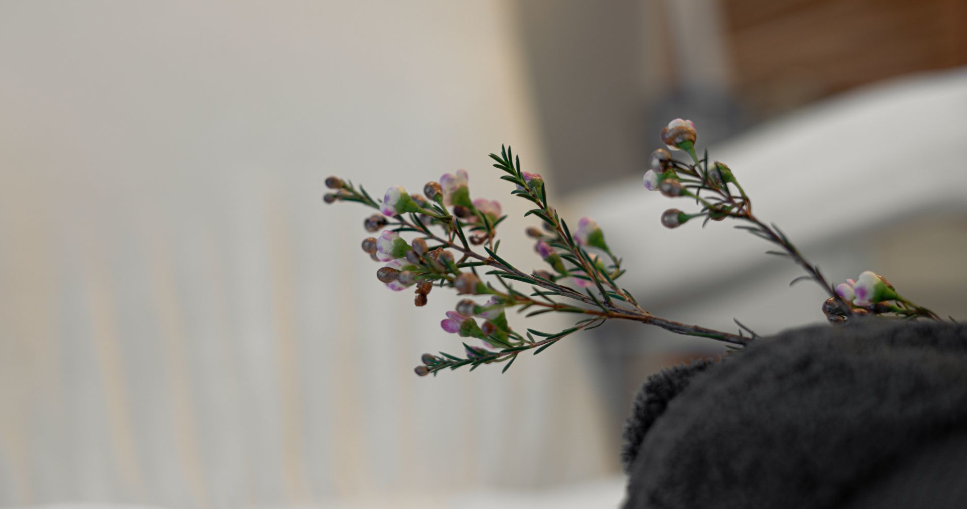 Behandlungsliege Kosmetik mit Dr. Hauschka Produkte im Hintergrund